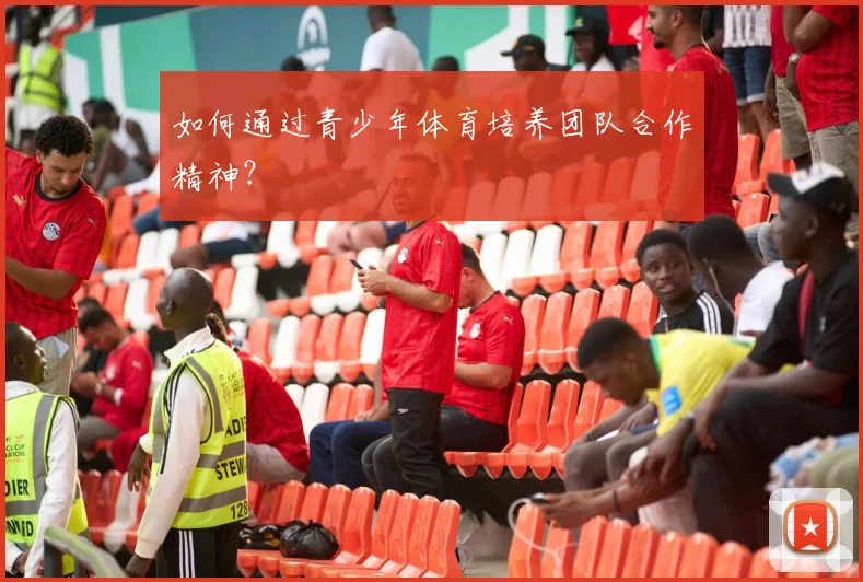 如何通过青少年体育培养团队合作精神?